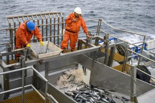 Experto alerta que fraccionamiento pesquero afectará el consumo
