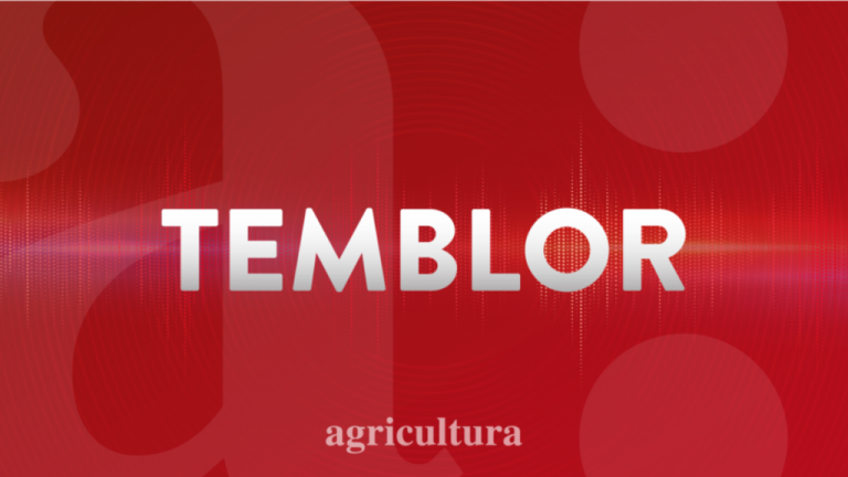 Fuerte temblor sacude al norte del país: Revisa la magnitud