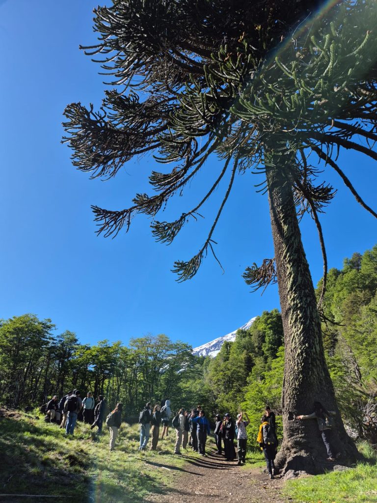 Cierre de parques y reservas: Llamado a la precaución ante ola de calor y condiciones extremas