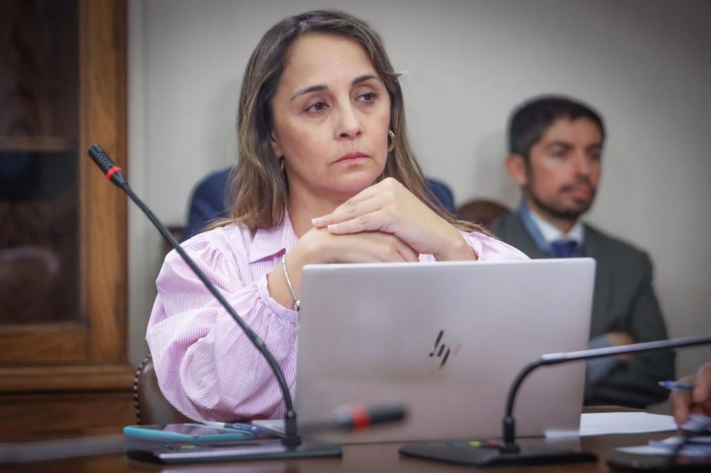 Tras nuevo caso de caída de menor desde edificio: Diputada Morales pide agilizar iniciativa que busca obligar a poner mallas de seguridad