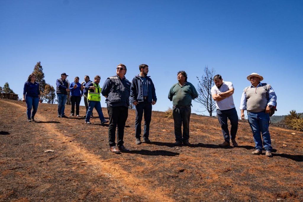 INDAP entrega ayuda a familias campesinas afectadas por incendios en La Araucanía