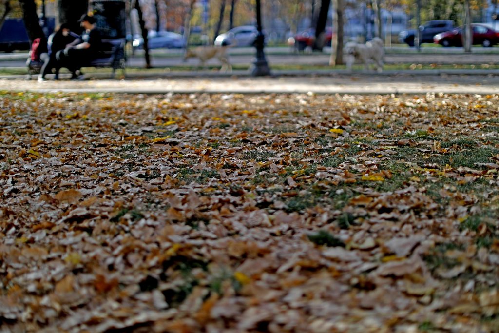 ¿Cuándo se producirá el equinoccio de otoño?