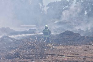 Senapred declara alerta roja por incendio forestal en Los Ángeles