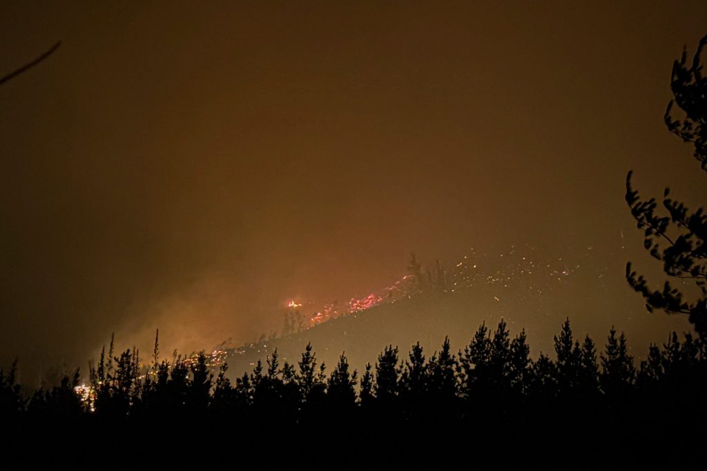 Senapred solicita evacuar sector Fundo Centinela, comuna de Hualqui, por incendio forestal