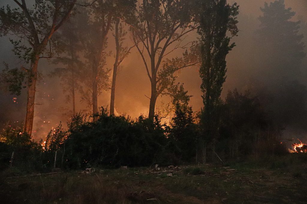 Alcalde de Hualqui por incendios en la zona: 