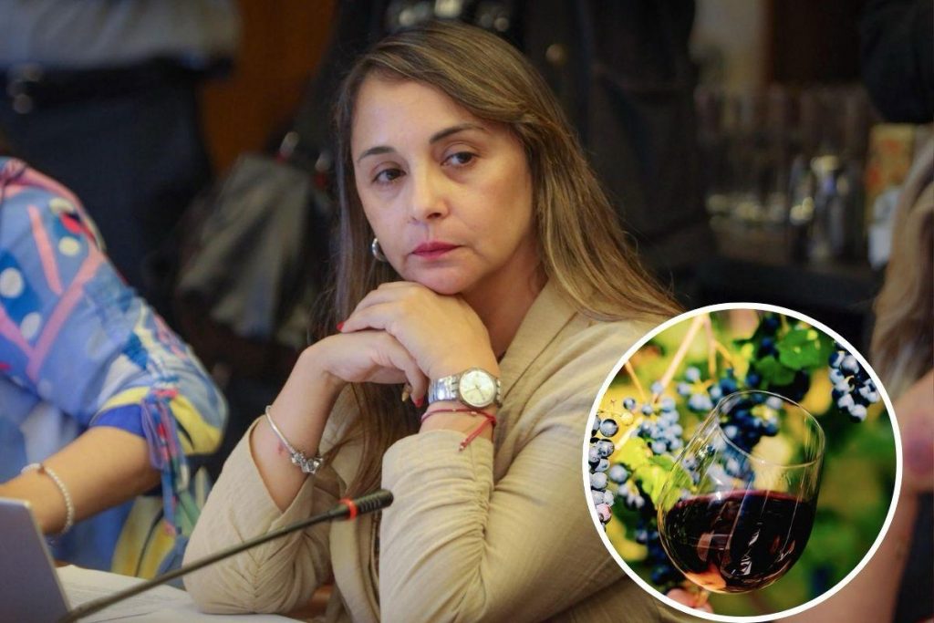 Diputada Carla Morales solicita respuestas al Ministerio de Agricultura por impacto en exportaciones de vino chileno