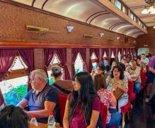 Tren del Recuerdo anuncia viajes a las Vendimias de Curicó, San Antonio y Aconcagua