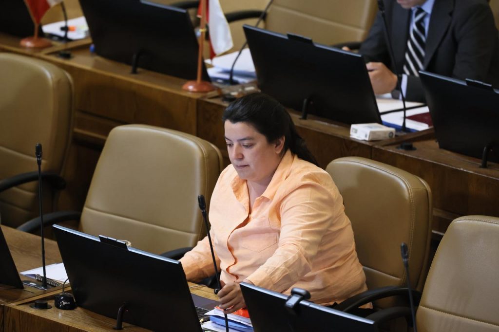Diputada Natalia Romero propone crear un Registro Nacional de Incidentes de Violencia Escolar tras nuevos casos de agresiones