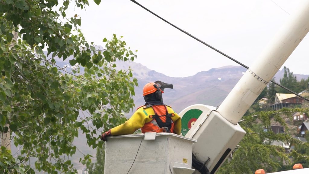 Enel despeja casi 70 mil árboles cercanos al tendido eléctrico como prevención ante eventos climatológicos