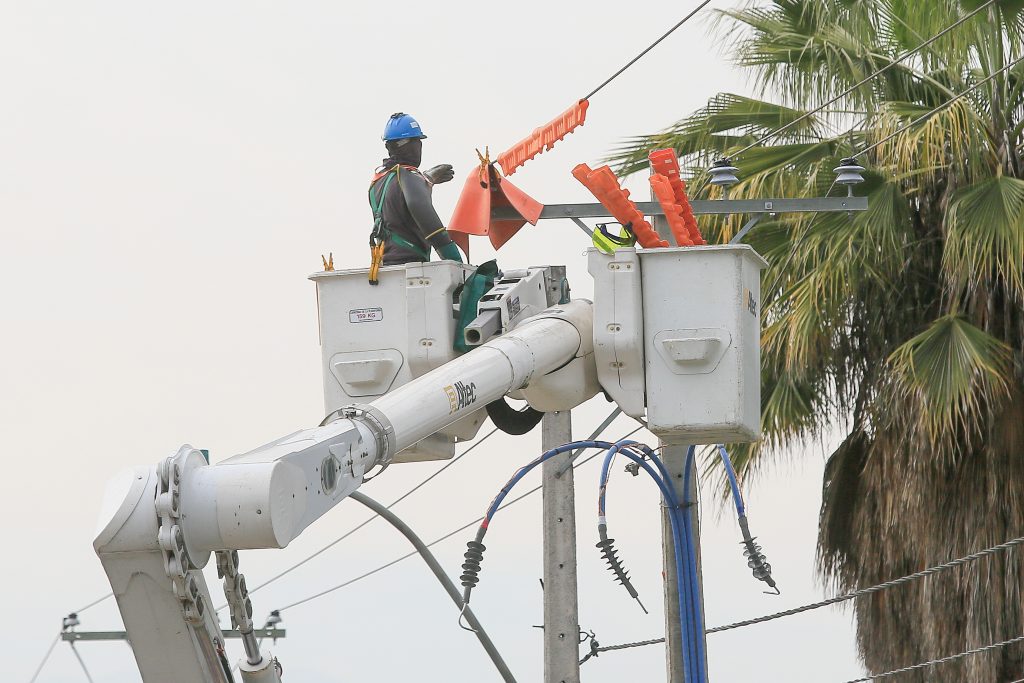 Robo de cables eléctricos llegó a 1.200 casos y afectó a más de 540 mil clientes durante 2024