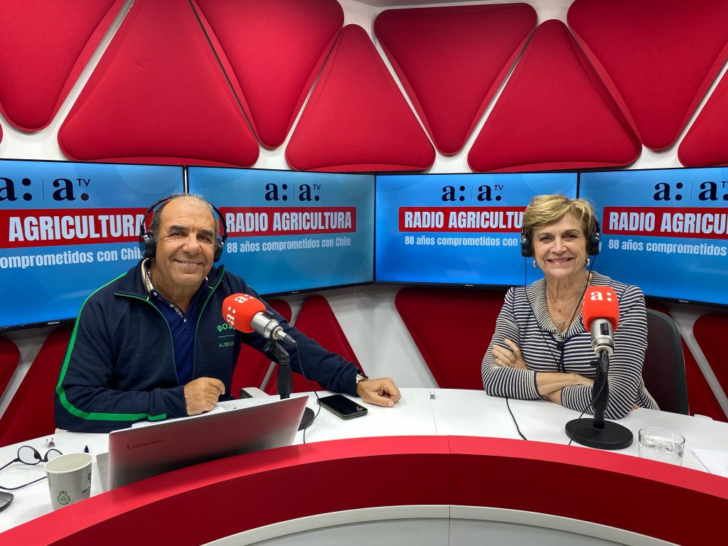 Matthei critica al Gobierno por reacción “histérica” tras su tuit sobre acuerdo SQM-Codelco