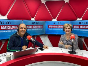 Matthei critica al Gobierno por reacción “histérica” tras su tuit sobre acuerdo SQM-Codelco