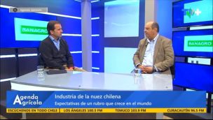 Agenda Agrícola: La nuez chilena conquista India: clave en la expansión agroalimentaria nacional