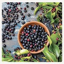 Residuos de hojas de maqui: La nueva solución natural para la conservación de alimentos