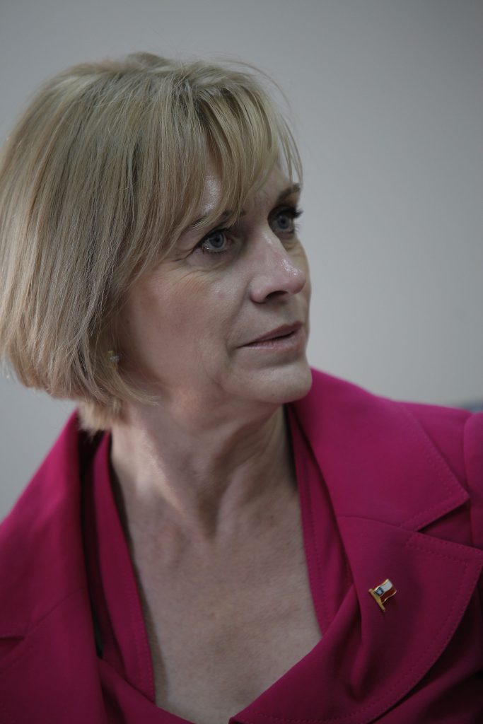 Matthei crítica falta de unanimidad en Comisión para la Paz y exige condena al terrorismo