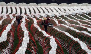 Tasa de ocupación informal baja a 25,8% en el primer trimestre de 2025, según el INE