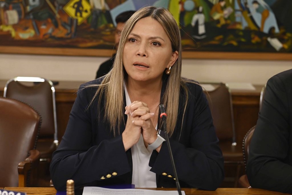 Tras accidente en Biobío, diputada Pérez llama a mayor fiscalización del transporte colectivo