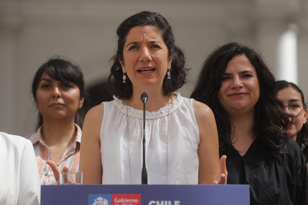 Aisén Etcheverry respalda iniciativa sobre aborto libre: “Es una política pública de salud”