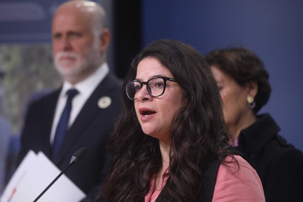 Gobierno ingresa proyecto de aborto legal hasta las 14 semanas