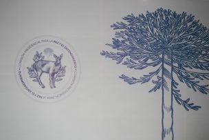 Miltigremial de La Araucanía tras fin del trabajo de Comisión por la Paz y el Entendimiento: