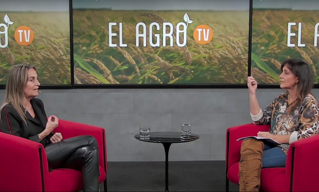 El Agro y Vinos de Chile: Estudio revela que 4 de cada 5 chilenos reconoce consumir alcohol
