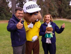 Gobierno promulga ley que crea el nuevo Servicio Nacional Forestal