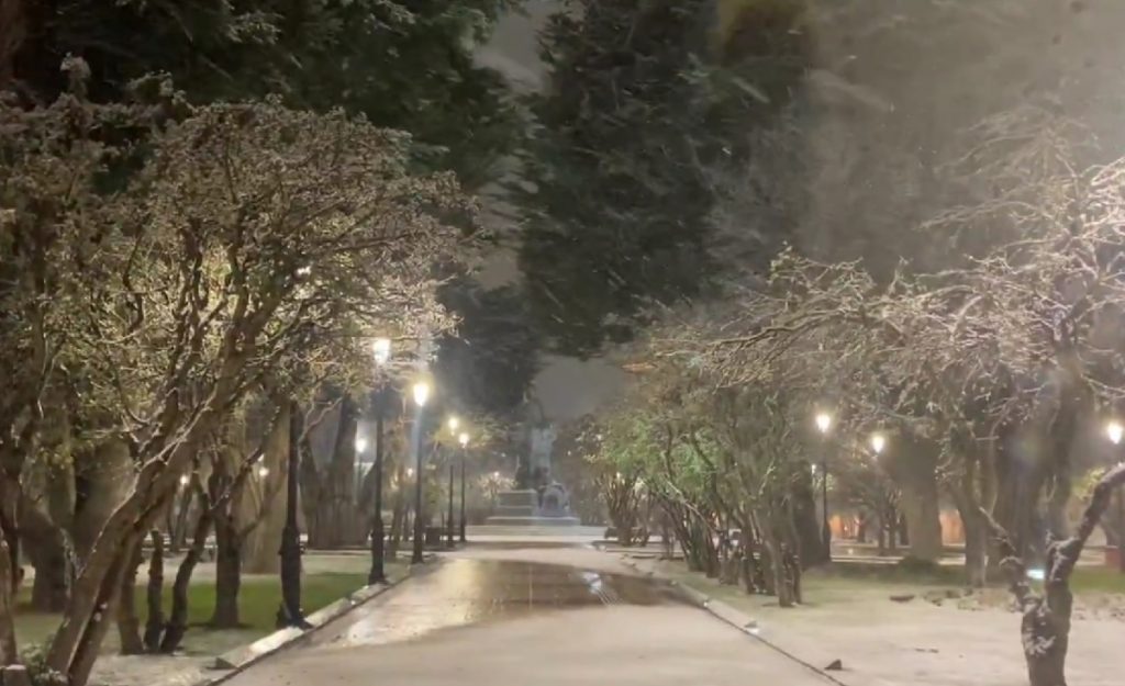 VIDEO | Punta Arenas recibe su primera nevada del año y tiñe de blanco la ciudad