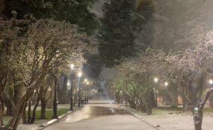 VIDEO | Punta Arenas recibe su primera nevada del año y tiñe de blanco la ciudad