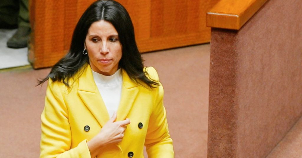 Senadora Gatica critica informe por “tintes octubristas” y falta de enfoque en terrorismo en la macrozona sur