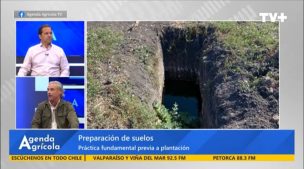 Agenda Agrícola: Heladas, comercio exterior e innovación los ejes del agro
