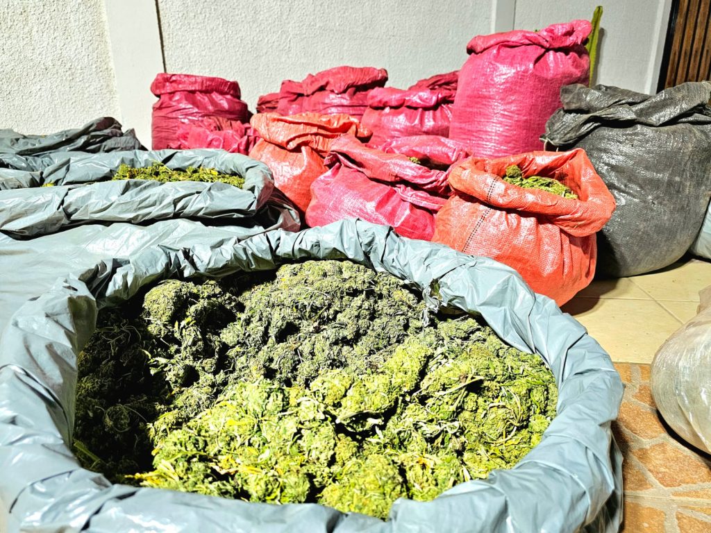 Monte Patria: Carabineros decomisó más de 22 mil millones de pesos en drogas 