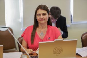 Diputada Sofía Cid critica duramente al Gobierno tras retiro de empresas chinas de proyectos de litio en el norte