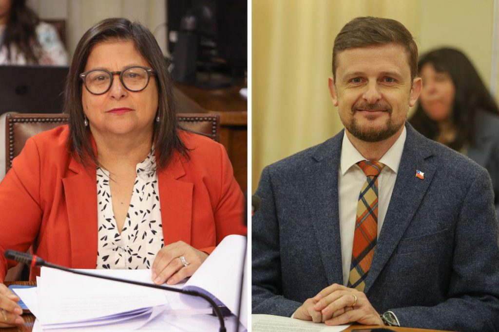 Diputados exigen acción urgente frente a grave caso de bullying escolar en Puerto Varas