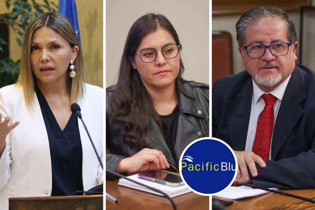 Diputados del Biobío alertan grave golpe para la región por cierre de Pesquera PacificBlu en 2026