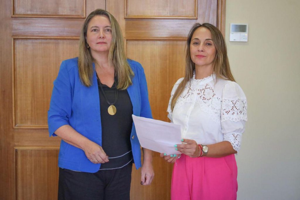 Diputadas de la Comisión de Discapacidad solicitan cambiar normativa de aeropuertos sobre asistencia a pasajeros con movilidad reducida