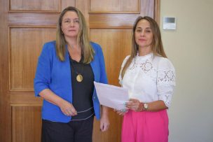 Diputadas de la Comisión de Discapacidad solicitan cambiar normativa de aeropuertos sobre asistencia a pasajeros con movilidad reducida
