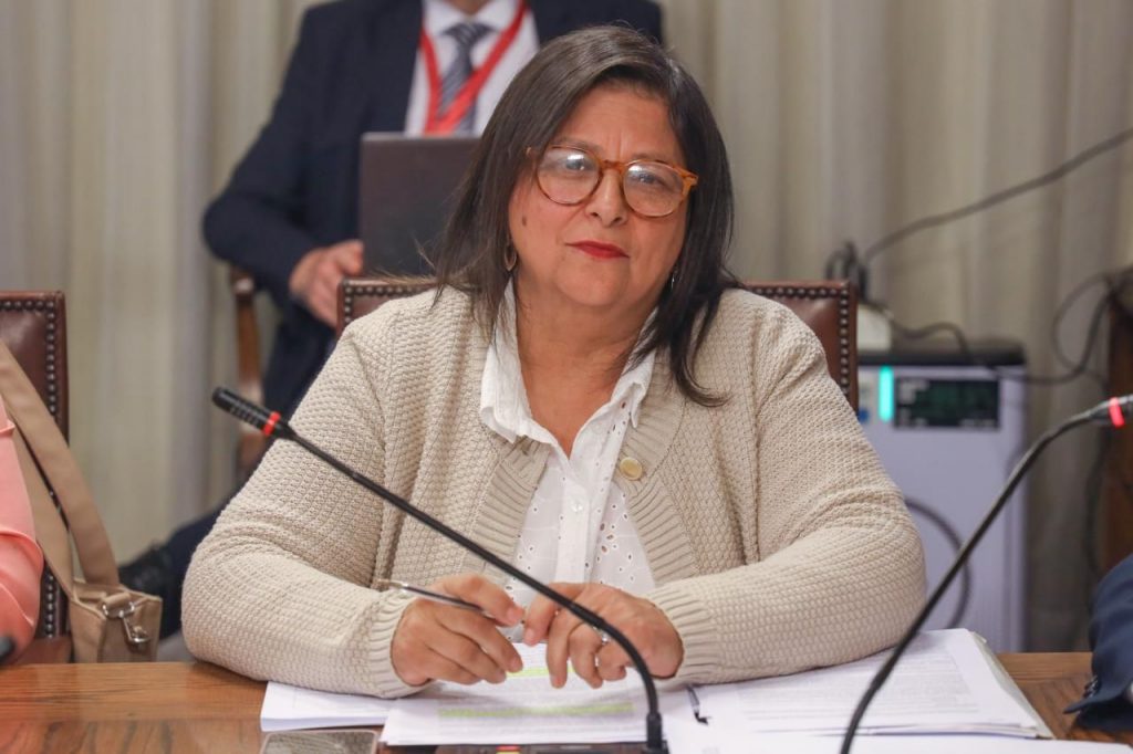 Diputada Marcia Raphael apoya y destaca proyecto para reducir costos energéticos y potenciar energías renovables en la Región de Aysén