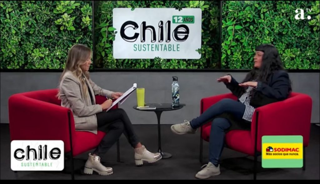 Chile Sustentable: Analiza el fenómeno del washing en empresas y campañas publicitarias
