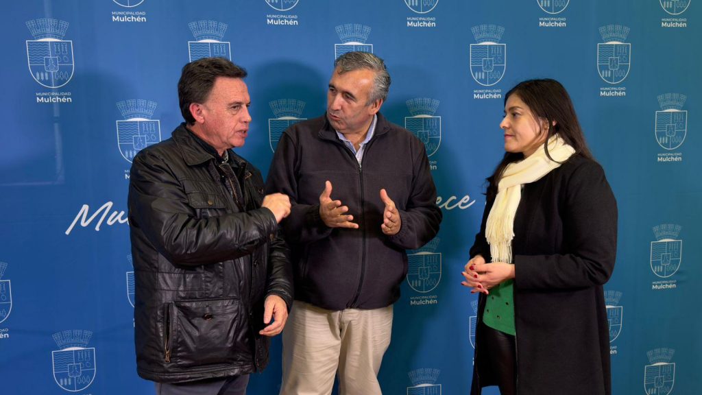 Diputada Karen Medina y alcaldes del Biobío emplazan al Gobierno tras violento atentado en Mulchén: ‘El Estado de Excepción es insuficiente y la crisis en la macrozona sur se agudiza