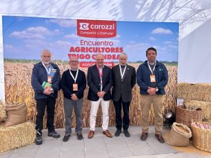 Carozzi