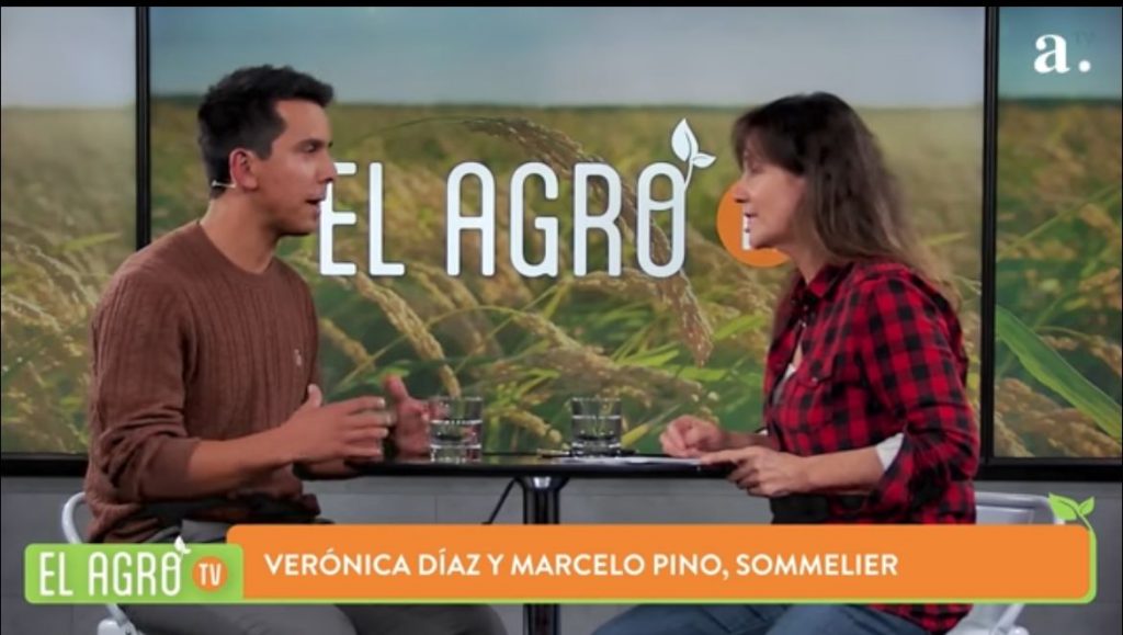 El Agro: Sommelier Marcelo Pino destaca en certámenes internacionales y promueve cultura del vino