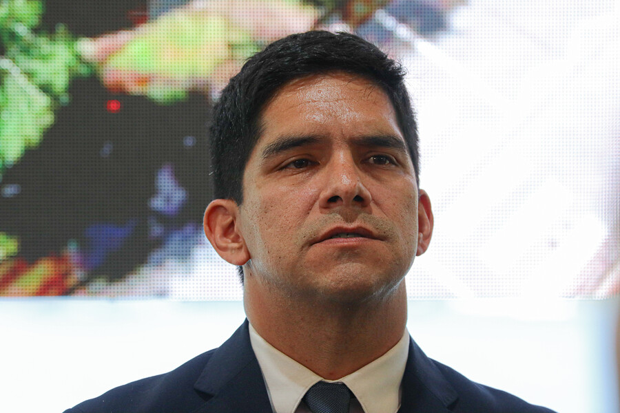 Alcalde de San Pedro de La Paz: 