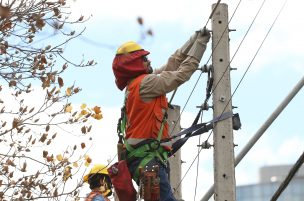 Enel entregó balance por sistema frontal:
