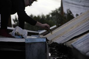 Evita filtraciones: guía para limpiar canaletas y techos antes de la lluvia