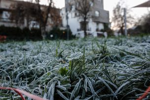 Hasta -5°C en Santiago: emiten advertencia agrometeorológica por heladas nueve regiones