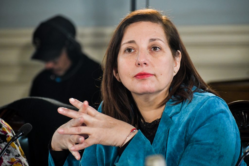 Presidenta del PS y proyecto de ley de fraccionamiento: “Aquí ha habido errores tras errores”