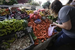 Proyecto de Fortalecimiento de Ferias Libres avanza y pasa a ser tramitado en el Senado