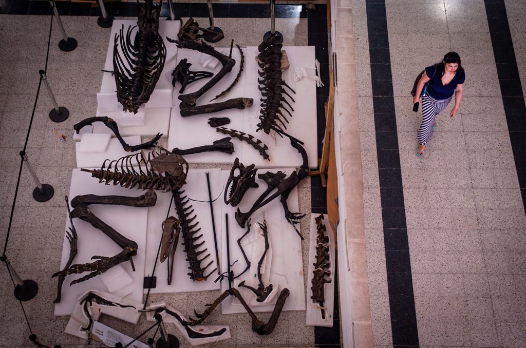 25 museos que puedes visitar gratis en todo el país