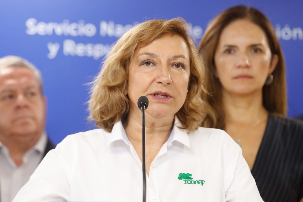 Directora Ejecutiva de Conaf renunció a su cargo
