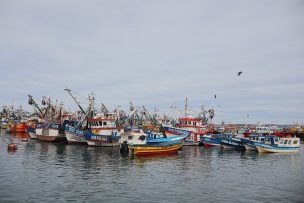 Hallan lancha sin tripulantes: se intensifica búsqueda de pescadores en el Biobío